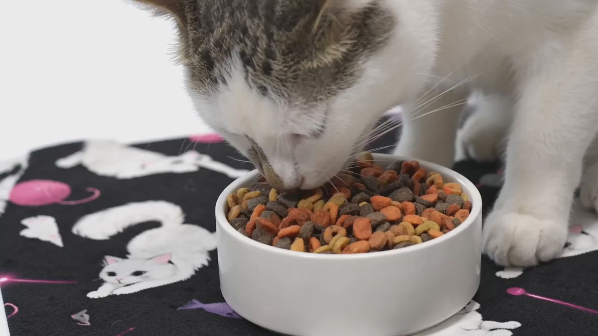 Cat Mealtime Mat (12x18) — Non-Slip Feeding Playful Mat for Cats